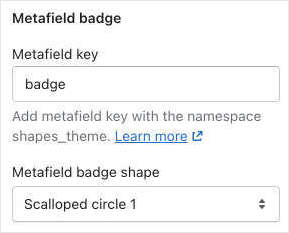 An example metafield definition in Theme settings.