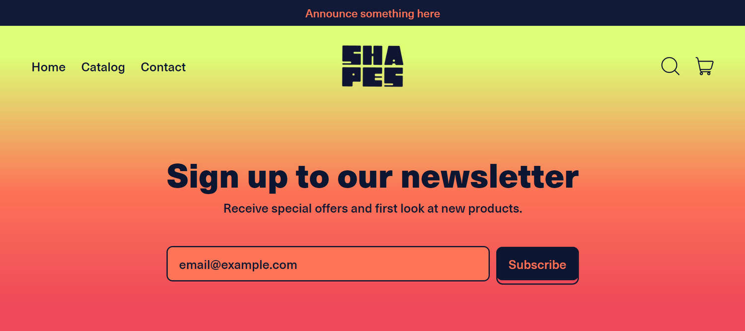 An example Newsletter section on a store's homepage.